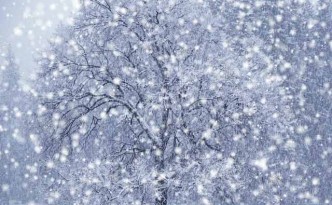 snowfall_1